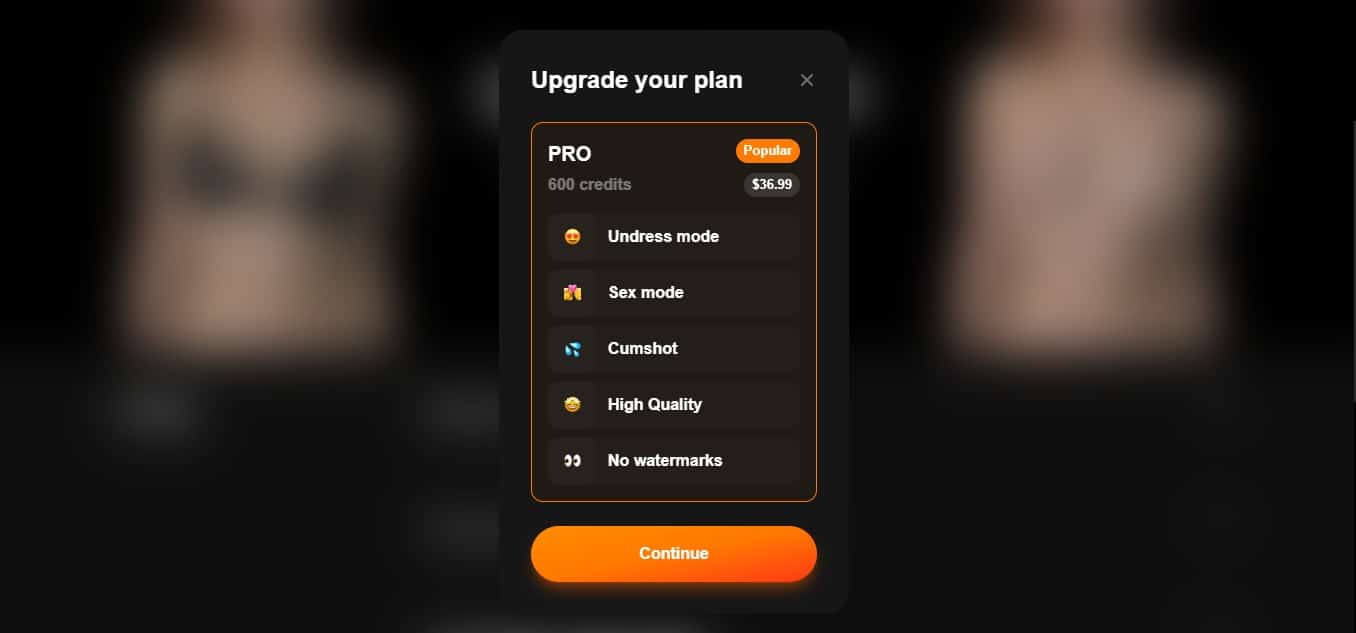 Undress cc pricing